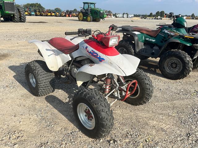 Image of Honda TRX250X equipment image 1