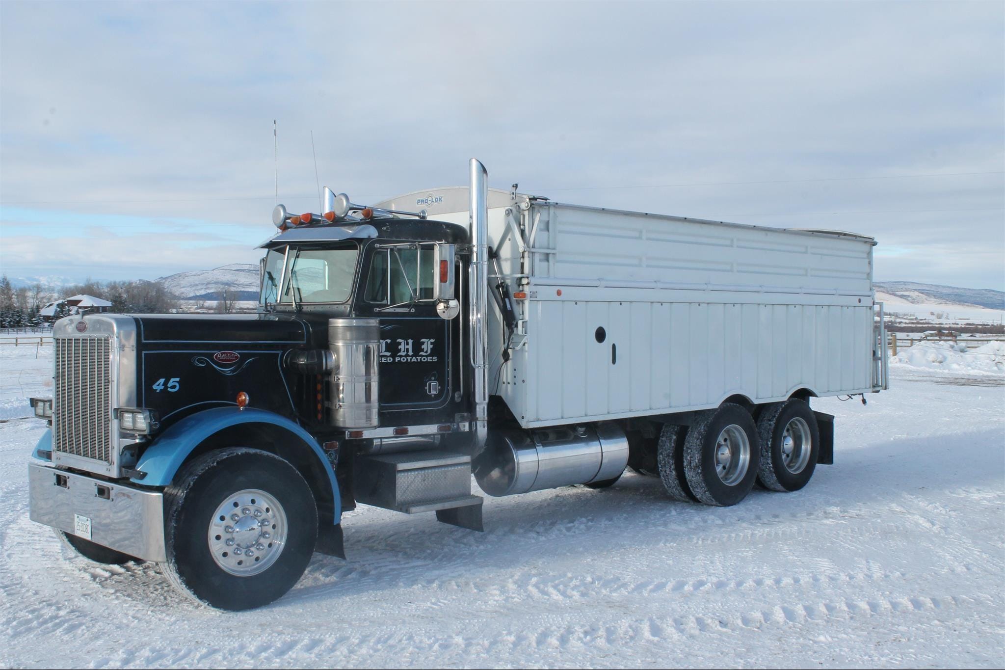 Main image Peterbilt 359