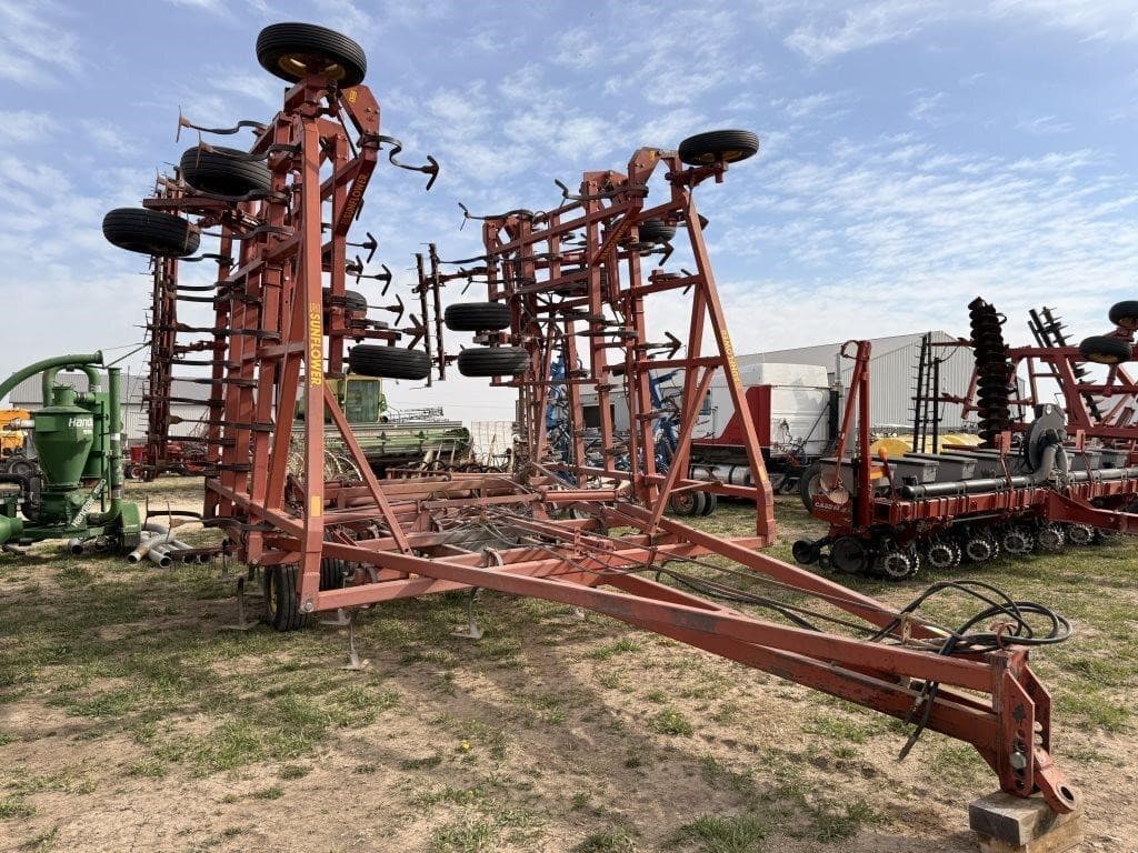 Image of Sunflower 5551 Primary image