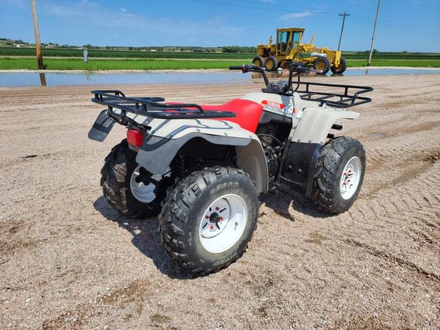 Image of Yamaha Big Bear equipment image 2