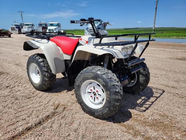 Image of Yamaha Big Bear equipment image 1