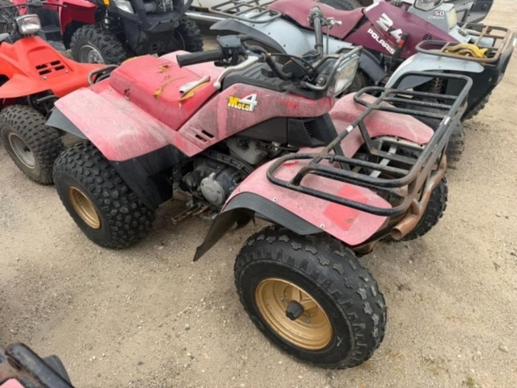 Image of Yamaha Moto 4 Primary image
