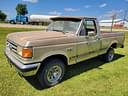 1989 Ford F-150 Image
