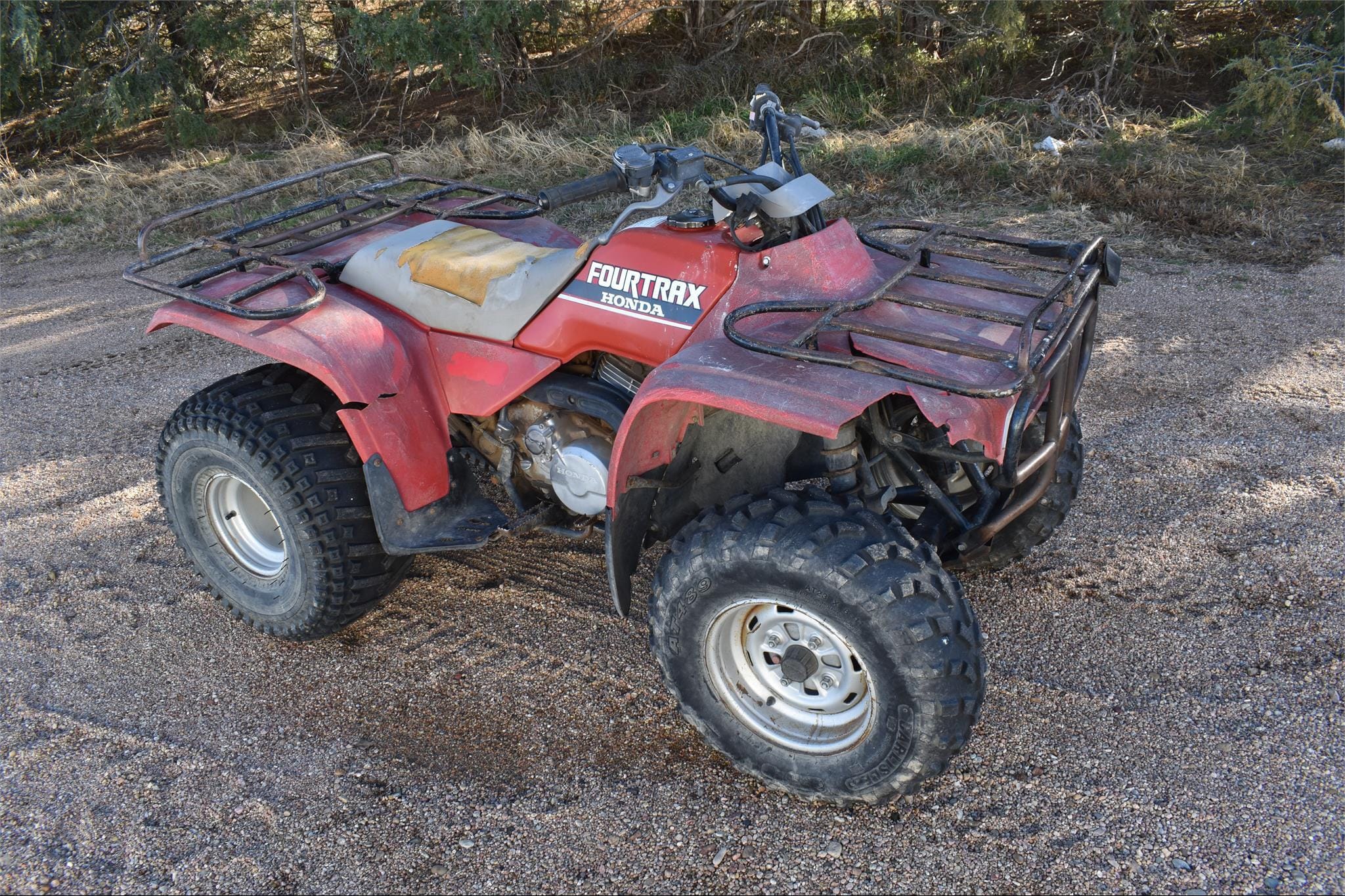 Main image Honda Fourtrax 300