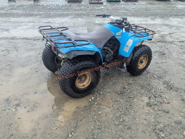 Image of Yamaha Moto 4 equipment image 2