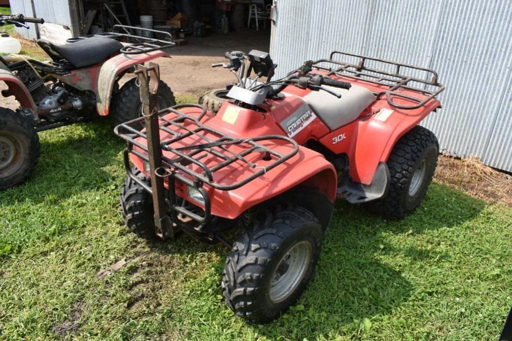 Image of Honda Fourtrax 300 Primary image