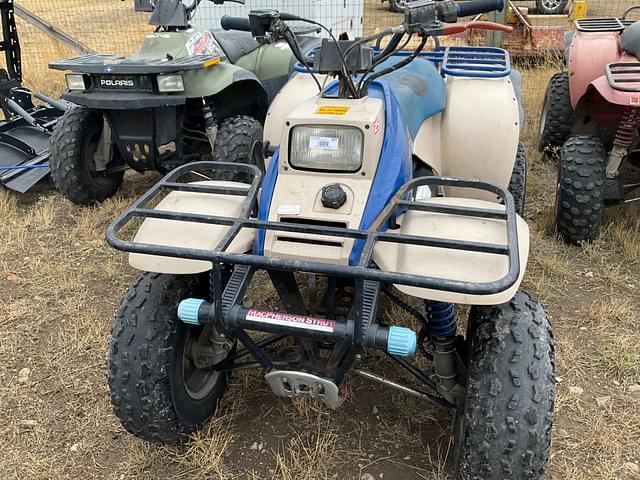 Image of Polaris Trail Boss  250 equipment image 1