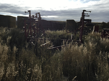 Main image Case IH 4900