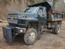 1992 Ford F-800 Image