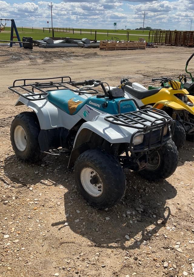 Image of Kawasaki Bayou 220 equipment image 1