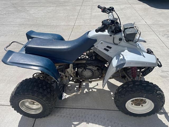 Image of Yamaha Warrior equipment image 1