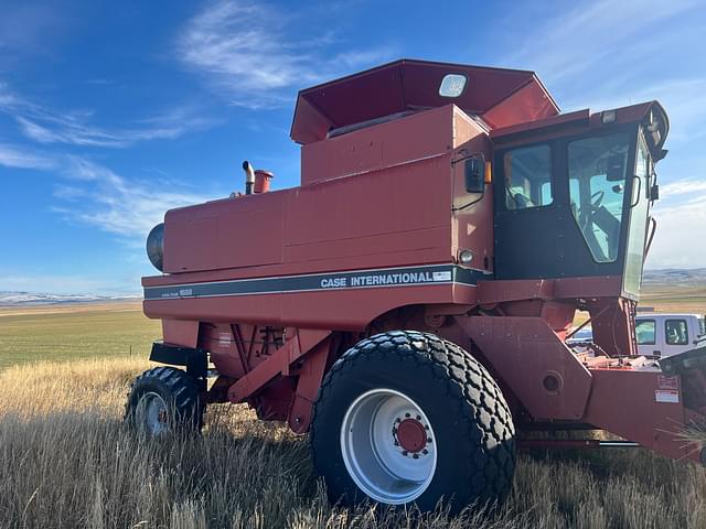 Image of Case IH 1688 equipment image 1