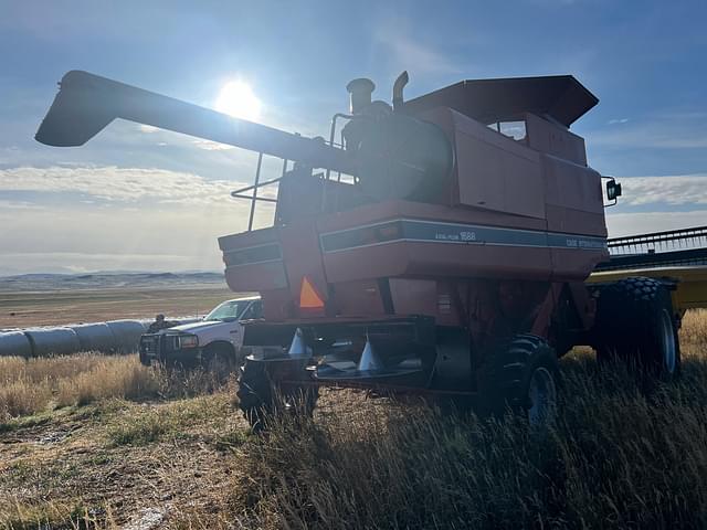 Image of Case IH 1688 equipment image 2