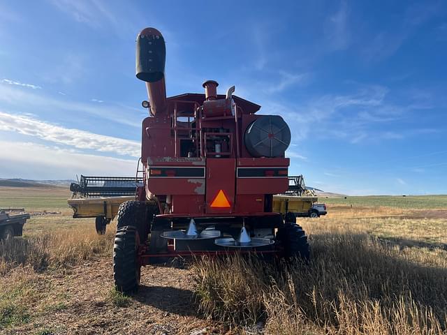 Image of Case IH 1688 equipment image 3