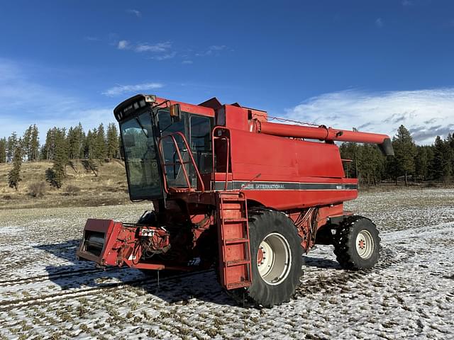 Image of Case IH 1688 equipment image 1