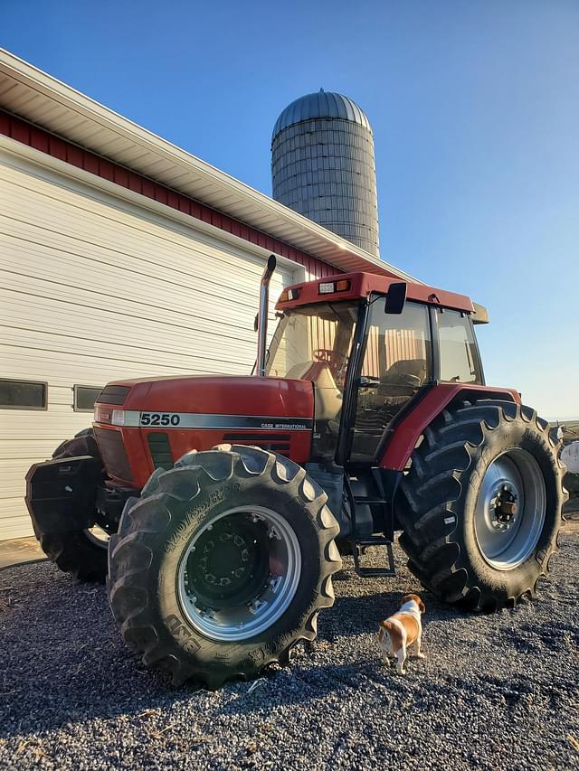 Image of Case IH 5250 equipment image 2