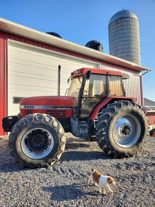 Image of Case IH 5250 equipment image 1