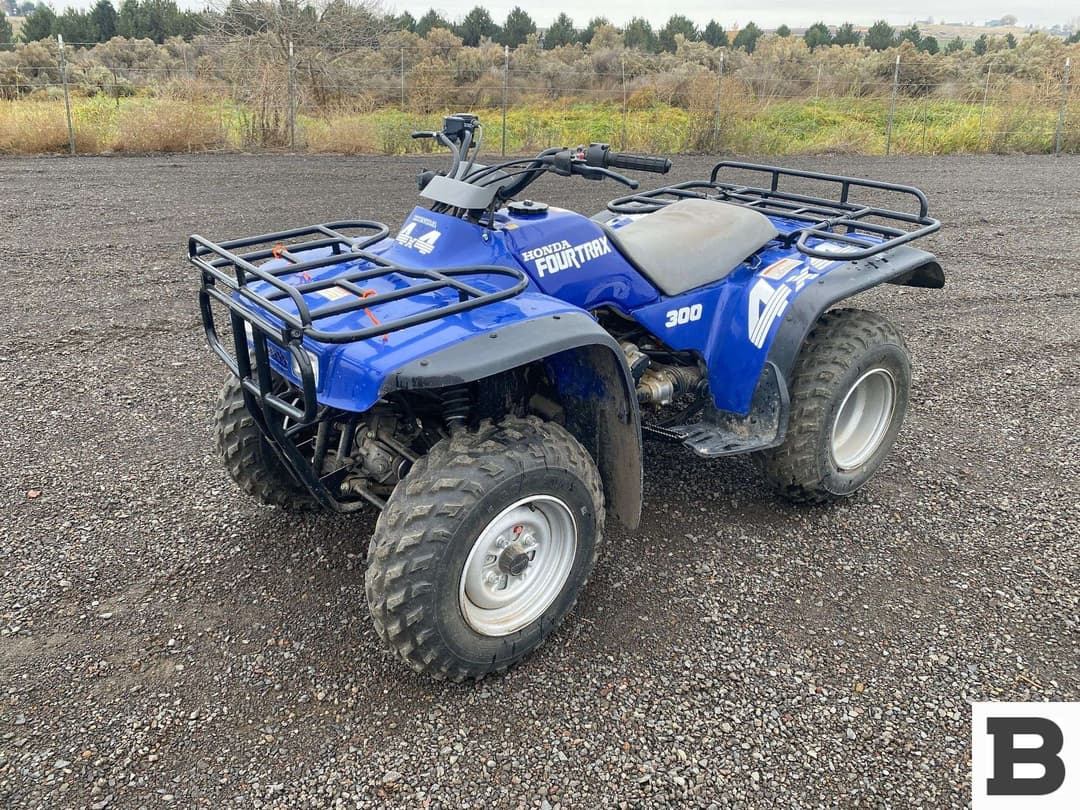 Image of Honda Fourtrax 300 Primary image