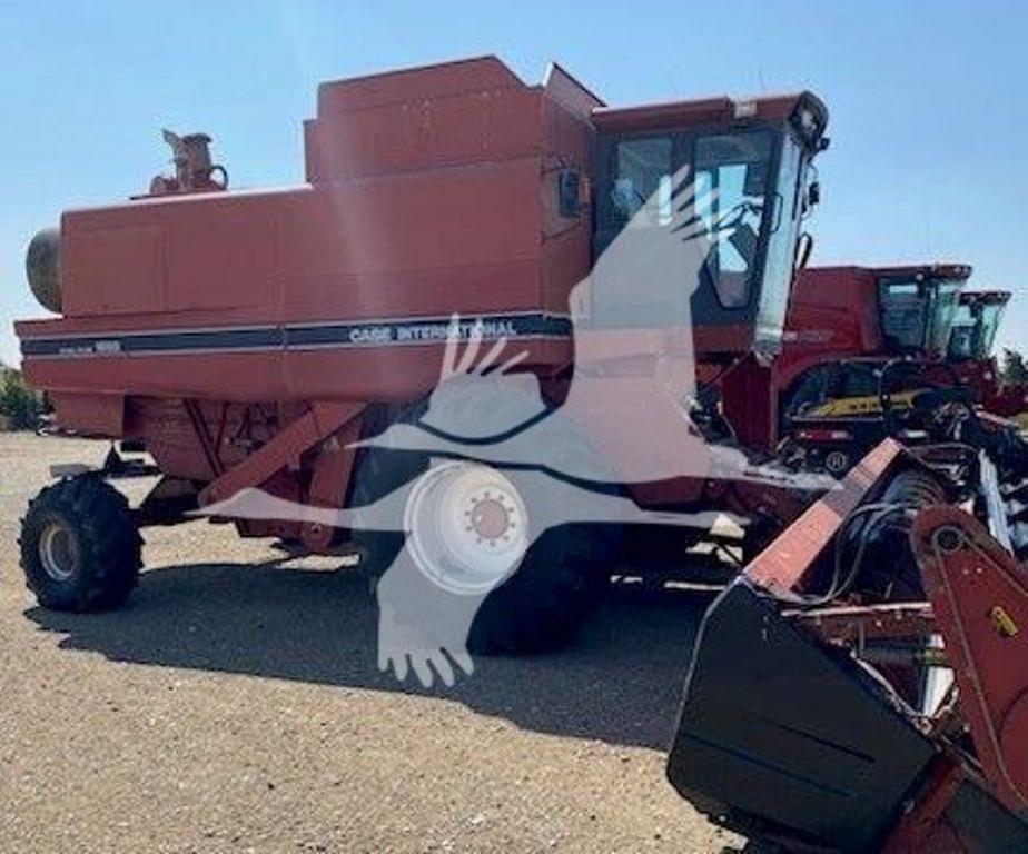 Main image Case IH 1688 3