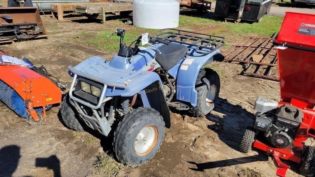 Main image Yamaha Timberwolf