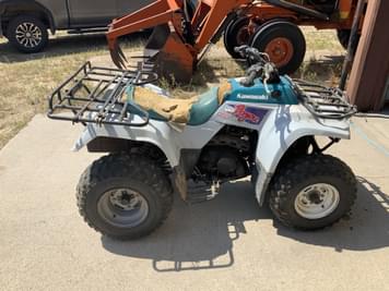 Main image Kawasaki Bayou 220