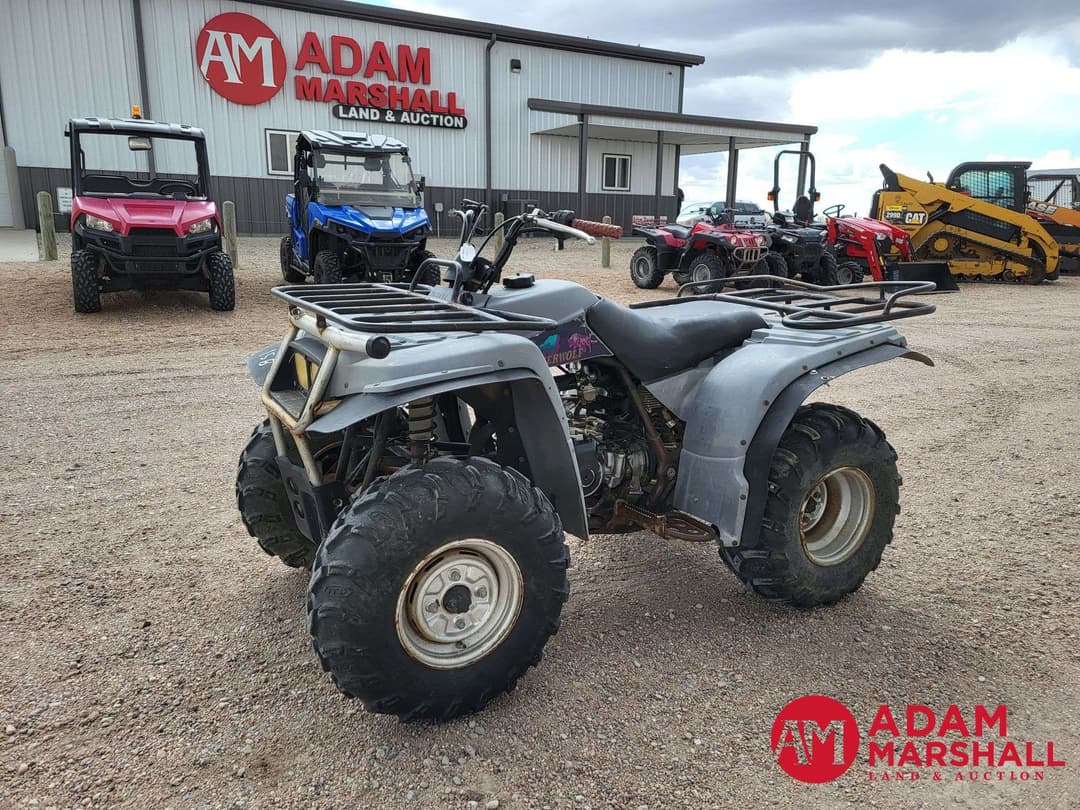 Image of Yamaha Timberwolf Primary image