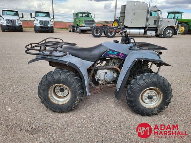 Image of Yamaha Timberwolf equipment image 2