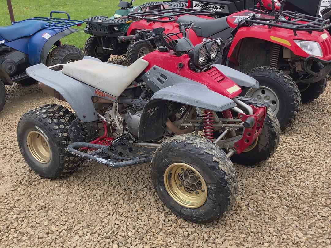 Image of Yamaha Warrior 350 Image 0