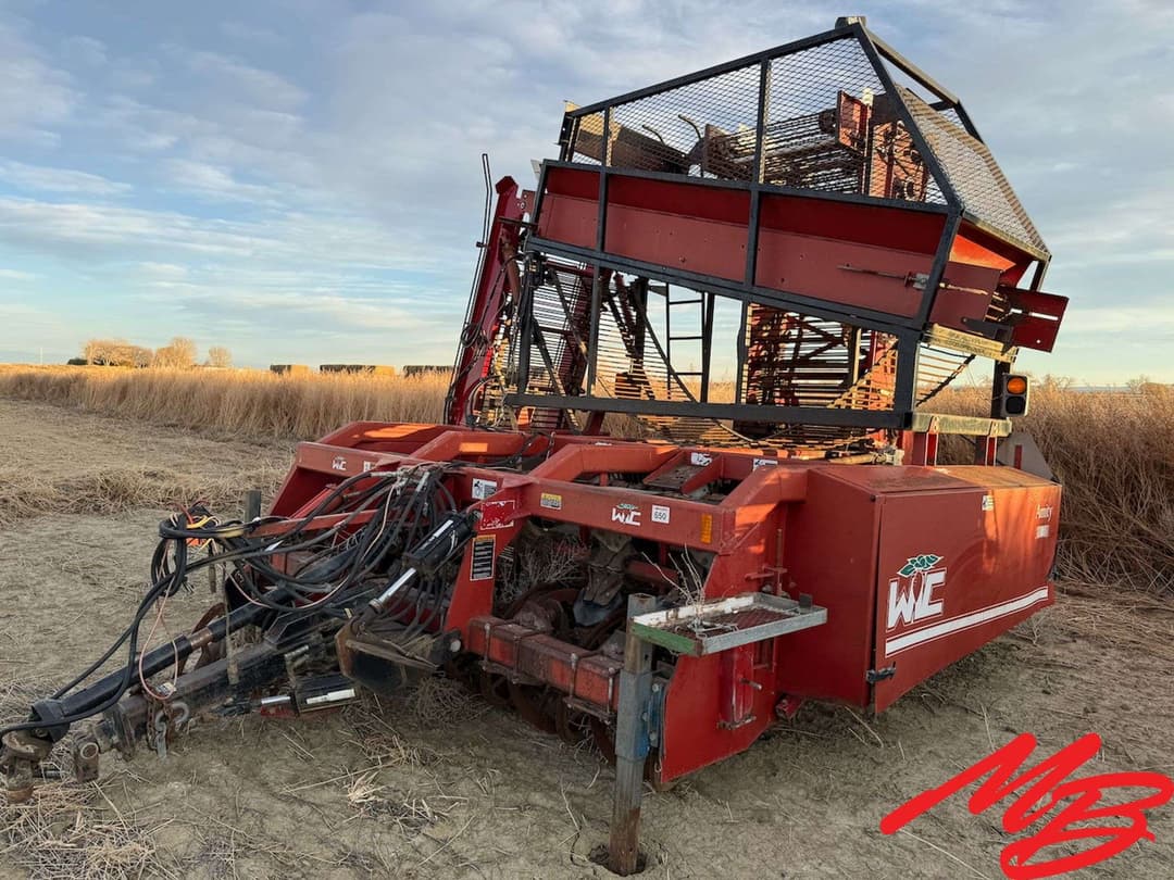 Image of Amity W956 Primary image