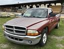 1998 Dodge Dakota Image