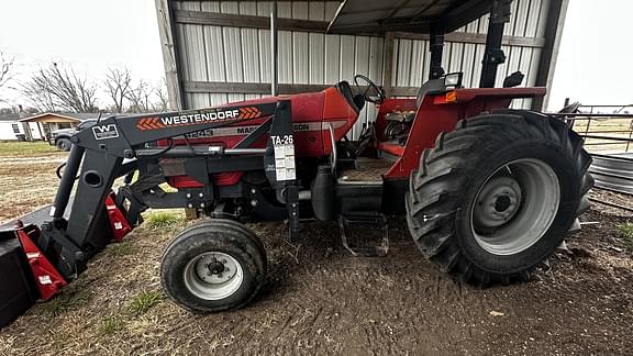 Image of Massey Ferguson 4243 Primary image