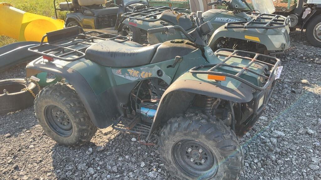 Image of Arctic Cat 300 Primary image