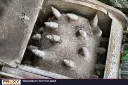 1999 Bobcat Undetermined Image