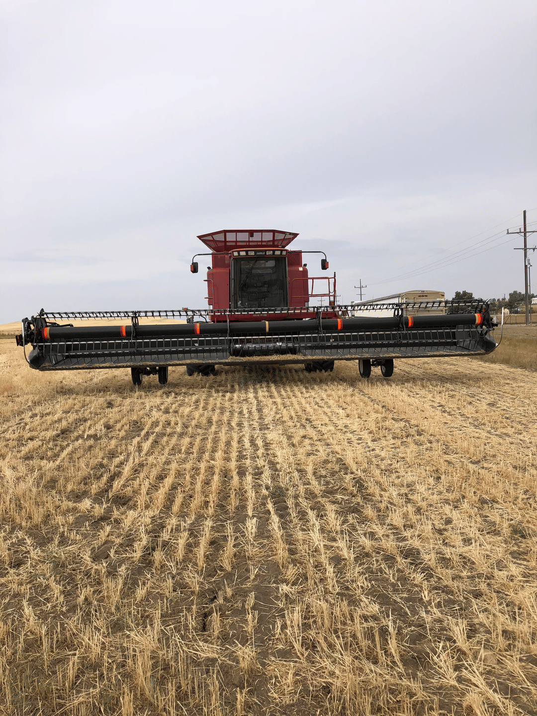 Image of Case IH 2388 Image 1