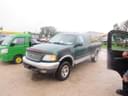 1999 Ford F-150 Image
