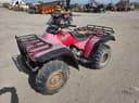 1999 Honda Fourtrax 300 Image