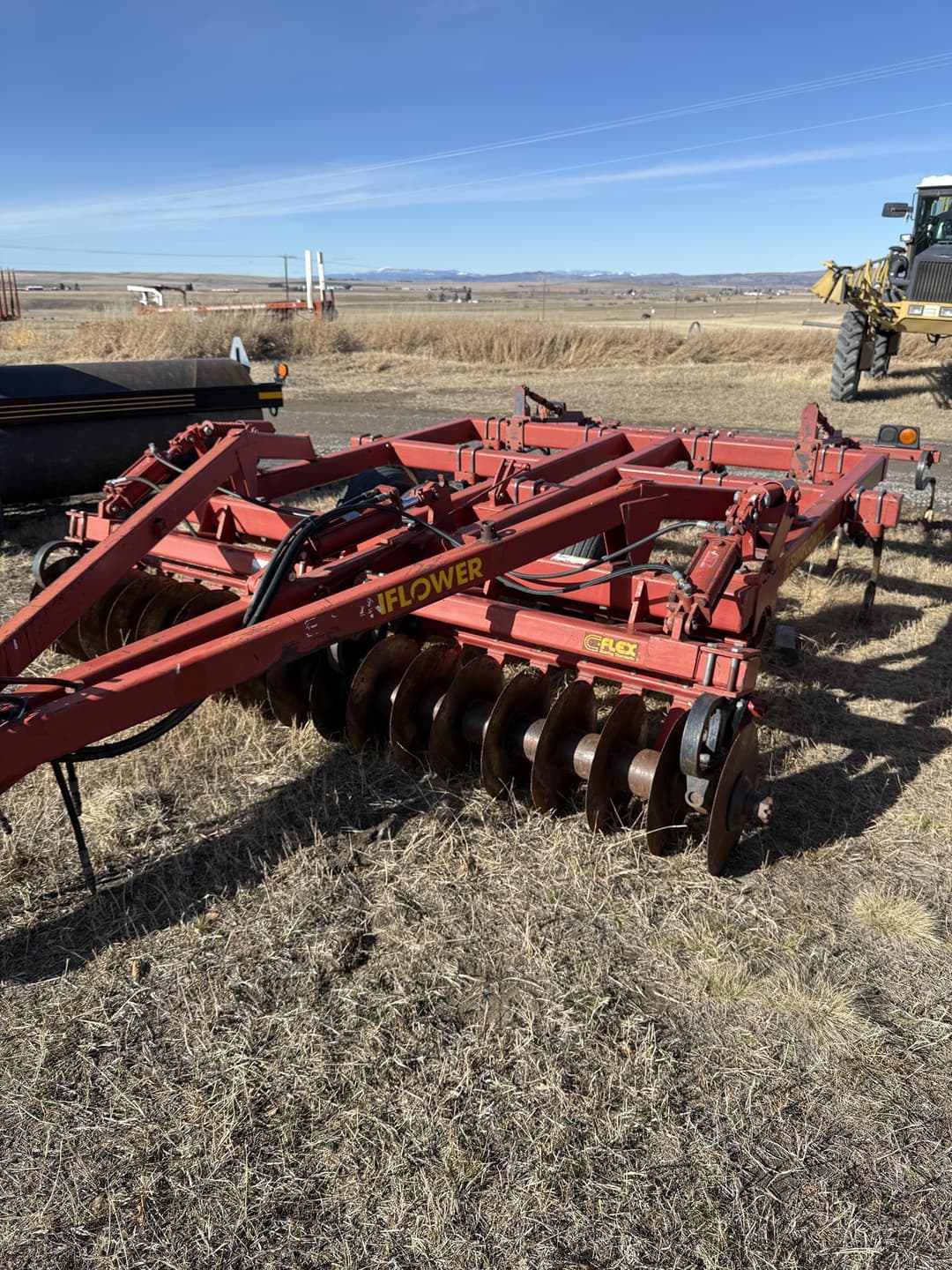 Image of Sunflower 4212-11 Primary image