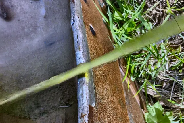 Image of Caterpillar Undetermined equipment image 4