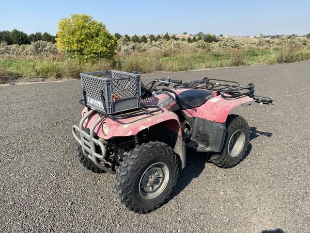 Image of Yamaha Big Bear 400 equipment image 1