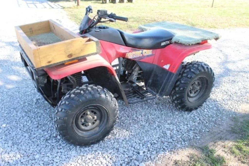 Image of Arctic Cat 250 Primary image