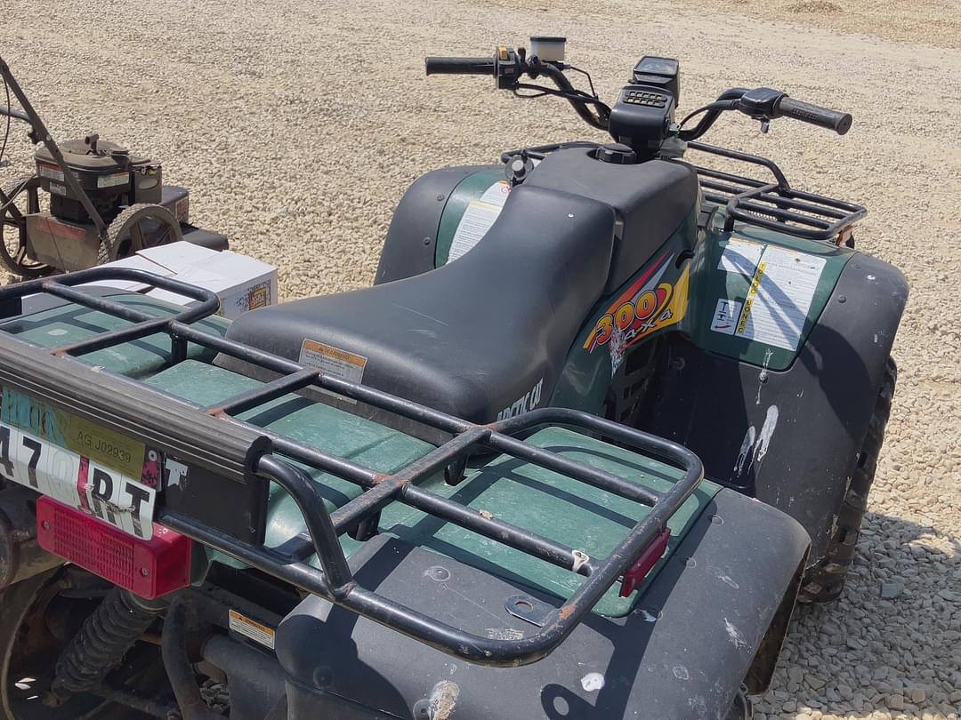 Image of Arctic Cat 300 Image 1