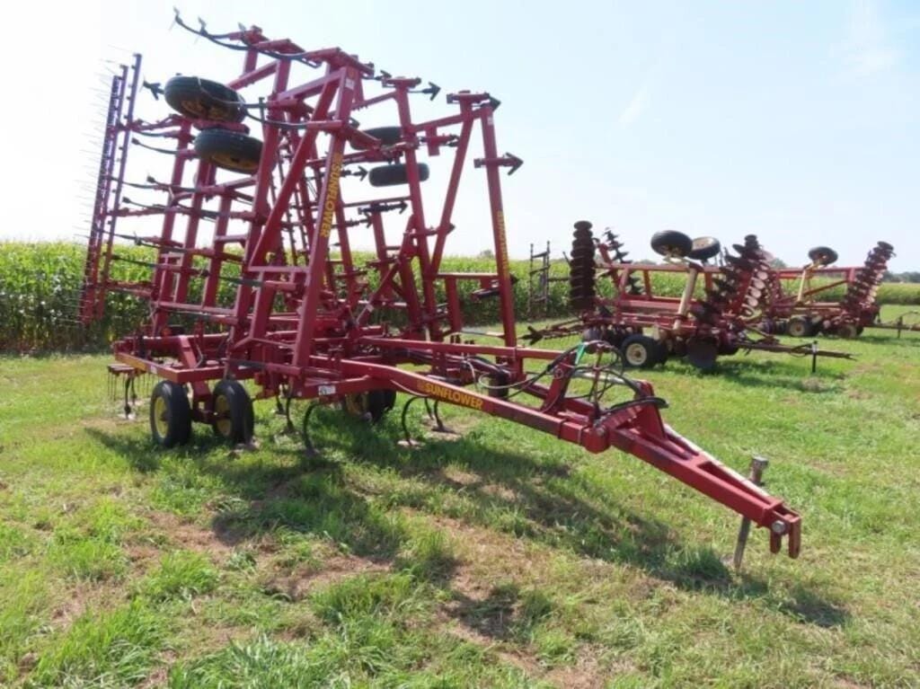 Main image Sunflower 5034