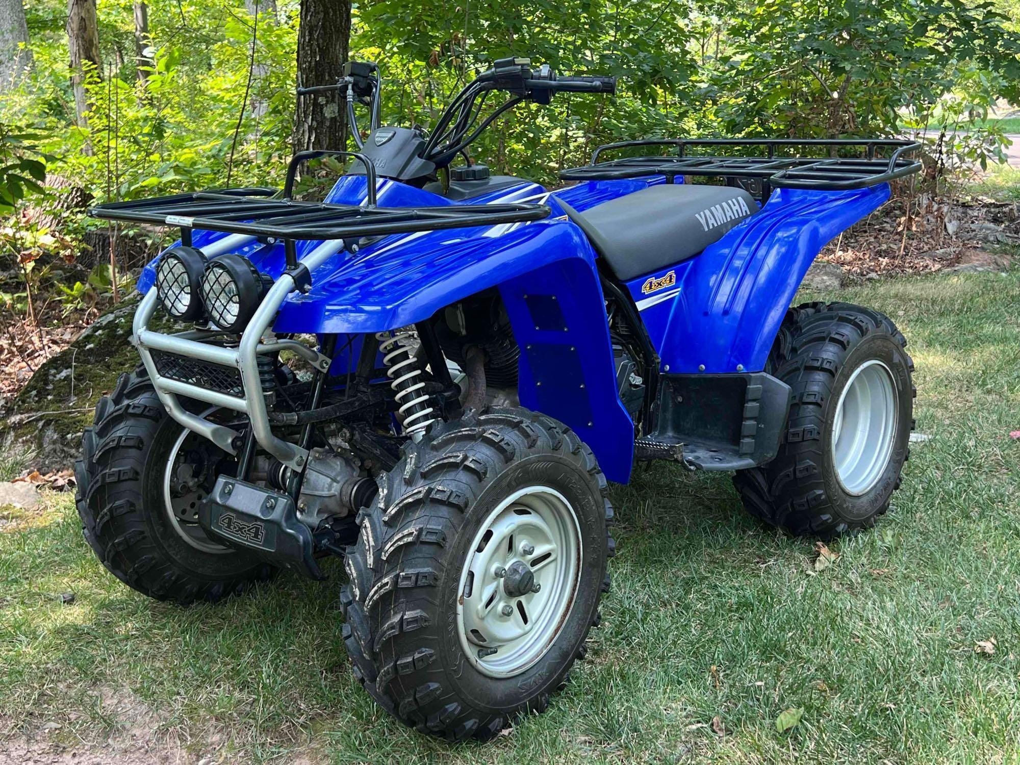 Main image Yamaha Wolverine
