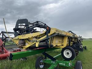 2003 Honey Bee SP39 Image