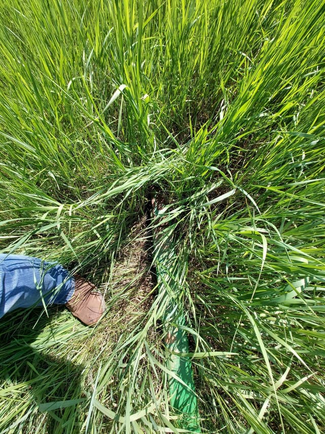 Image of John Deere 930F equipment image 2