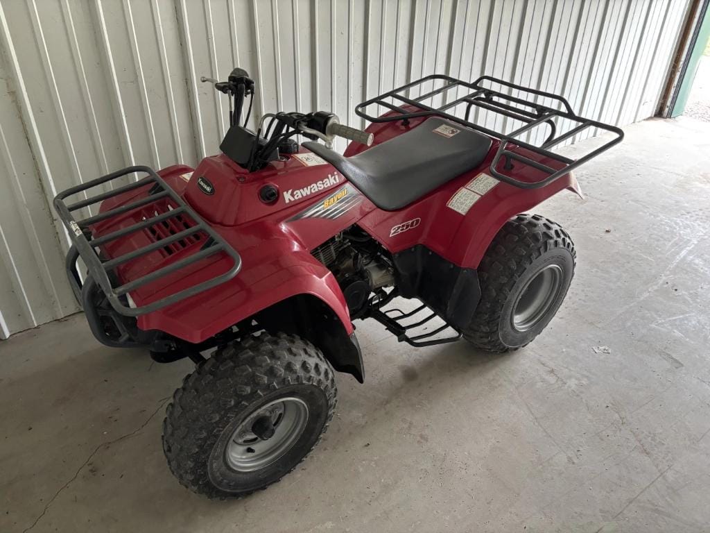 2003 Kawasaki Bayou 250 Equipment Image0
