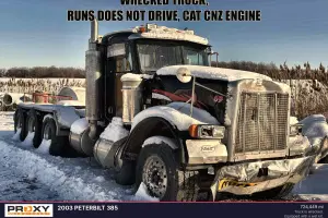 2003 Peterbilt 385 Image