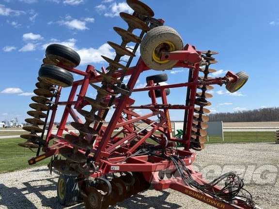 Main image Sunflower 1234