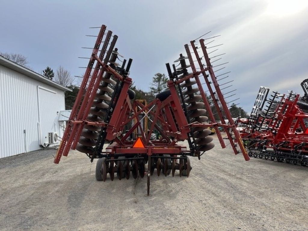 Main image Sunflower 1434