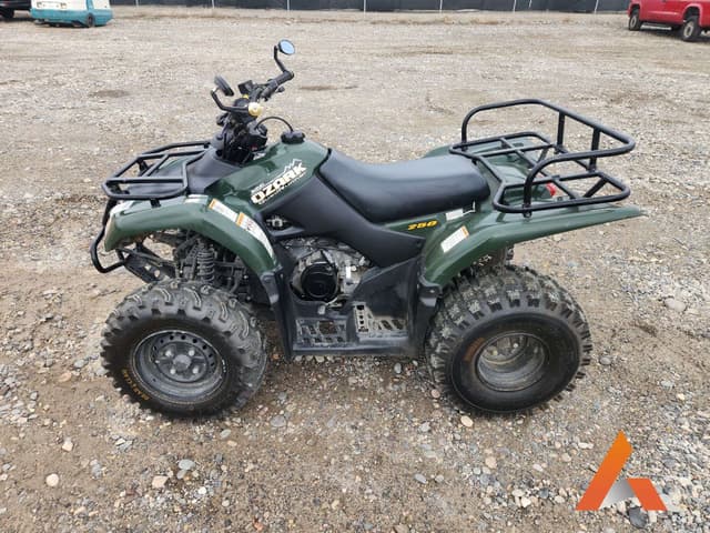 Image of Suzuki Quad Runner 250 equipment image 1